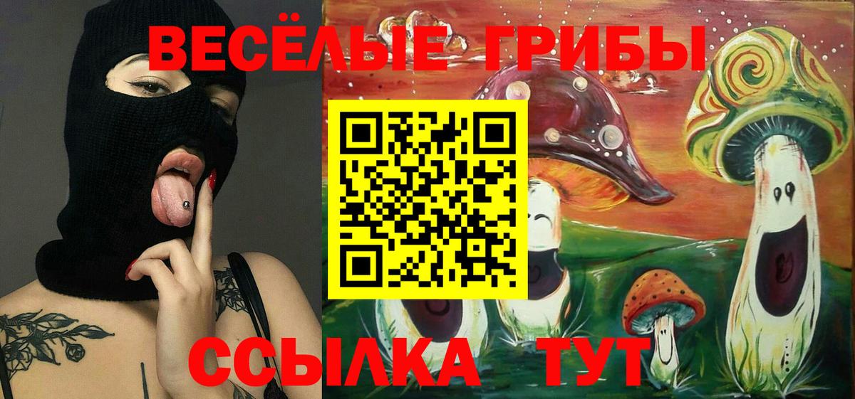 Псилоцибиновые грибы мицелий  Вход с VPN  Каспийск 